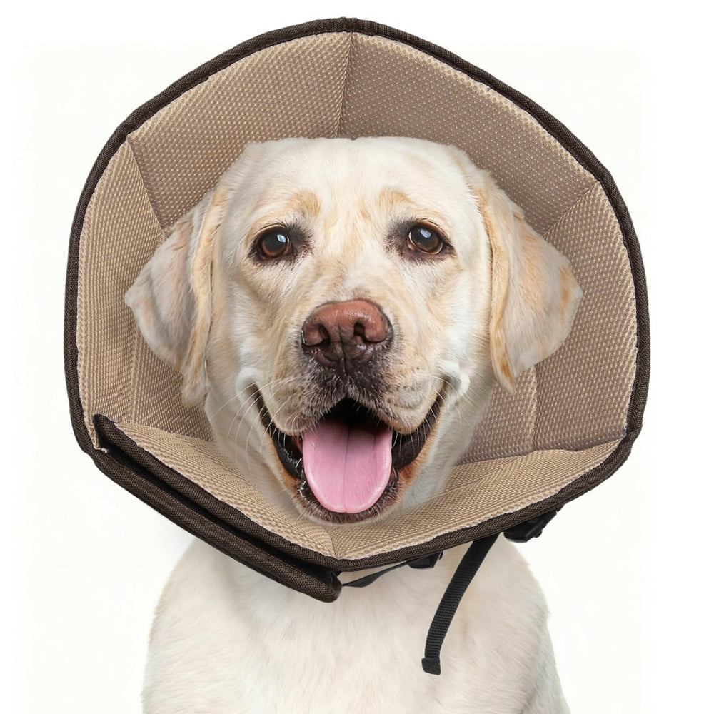 LETSQK collier conique doux chien rétablissement - confort et sécurité