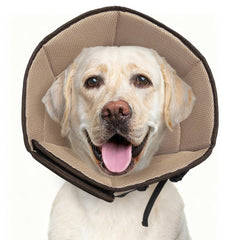 LETSQK collier conique doux chien rétablissement - confort et sécurité
