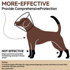 LETSQK collier conique prévention léchage - protection des plaies