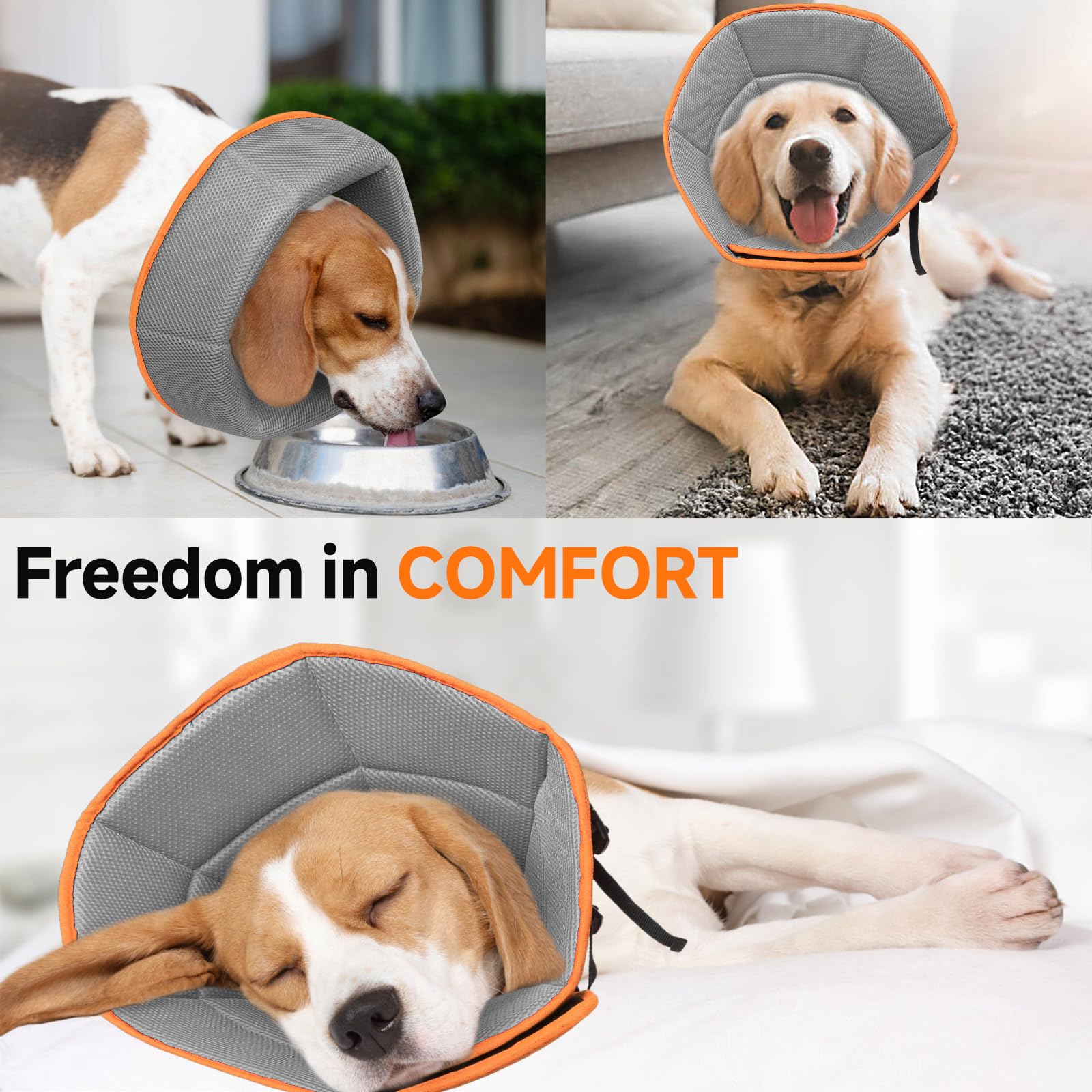LETSQK cône chien taille M adaptée aux chiens de toutes morphologies