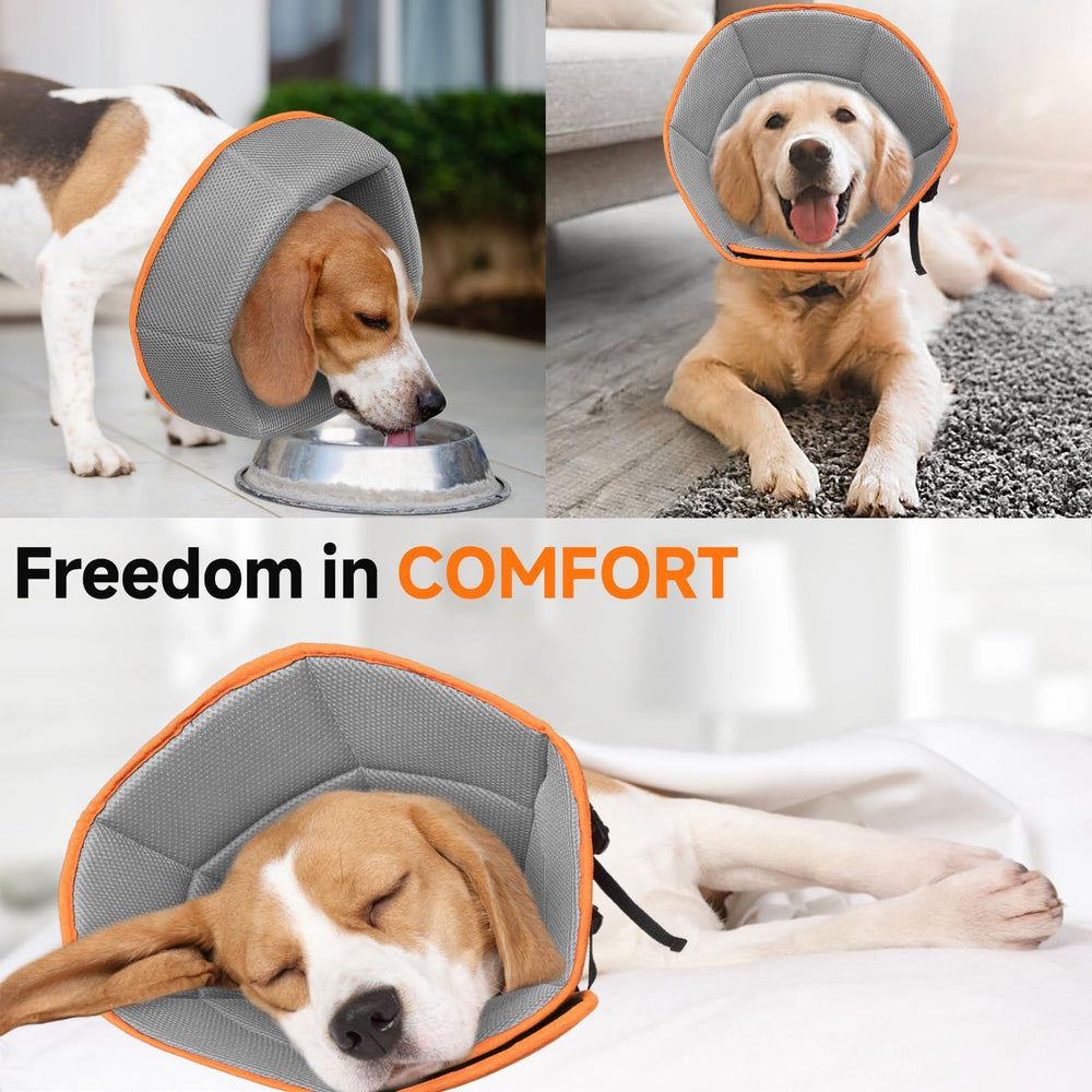 LETSQK cône chien taille M adaptée aux chiens de toutes morphologies