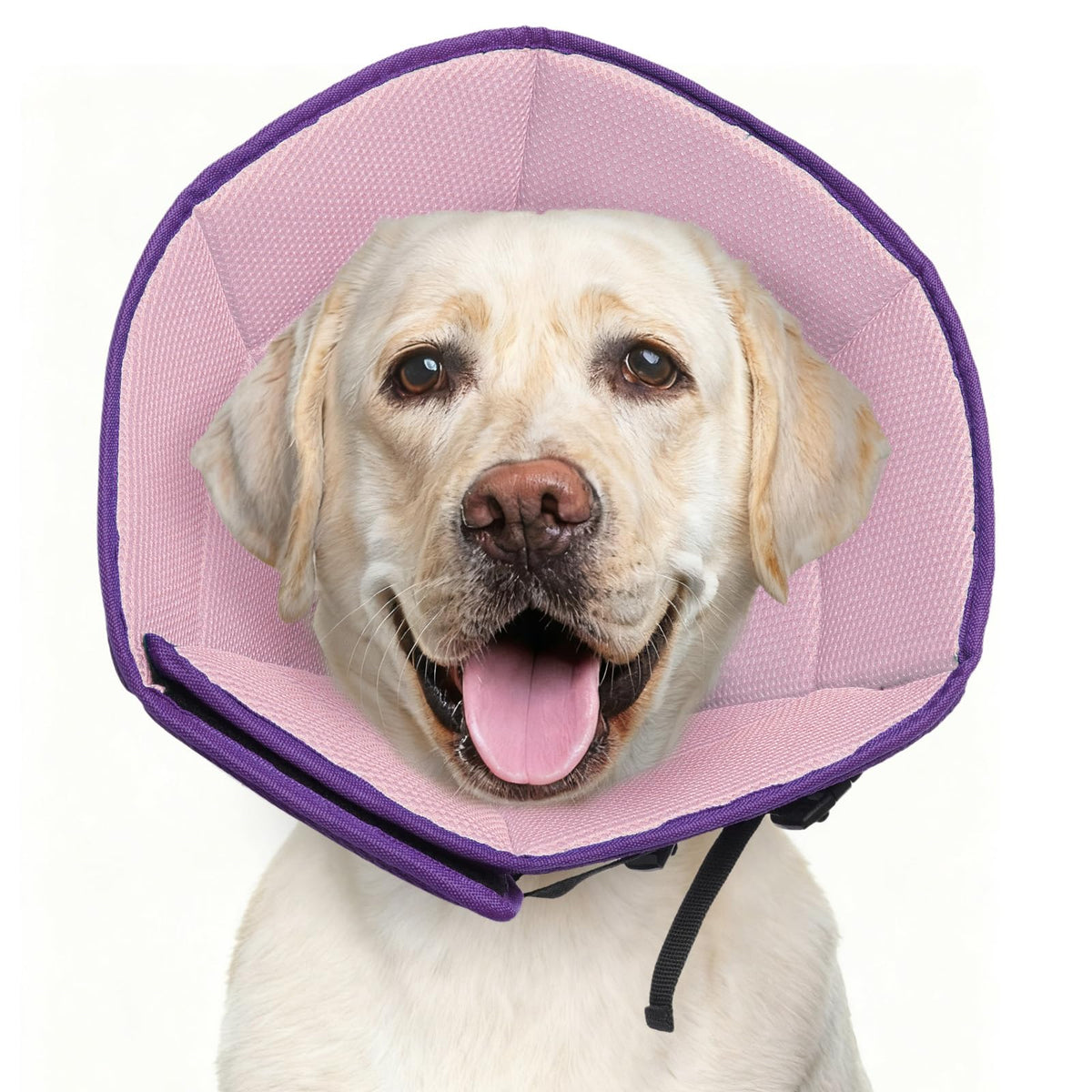 LETSQK collier-cone XL doux pour rétablissement et repos du chien.