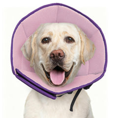 LETSQK collier-cone XL doux pour rétablissement et repos du chien.