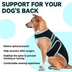 Trois stabilisateurs procurant un soutien dorsal stable LETSQK.