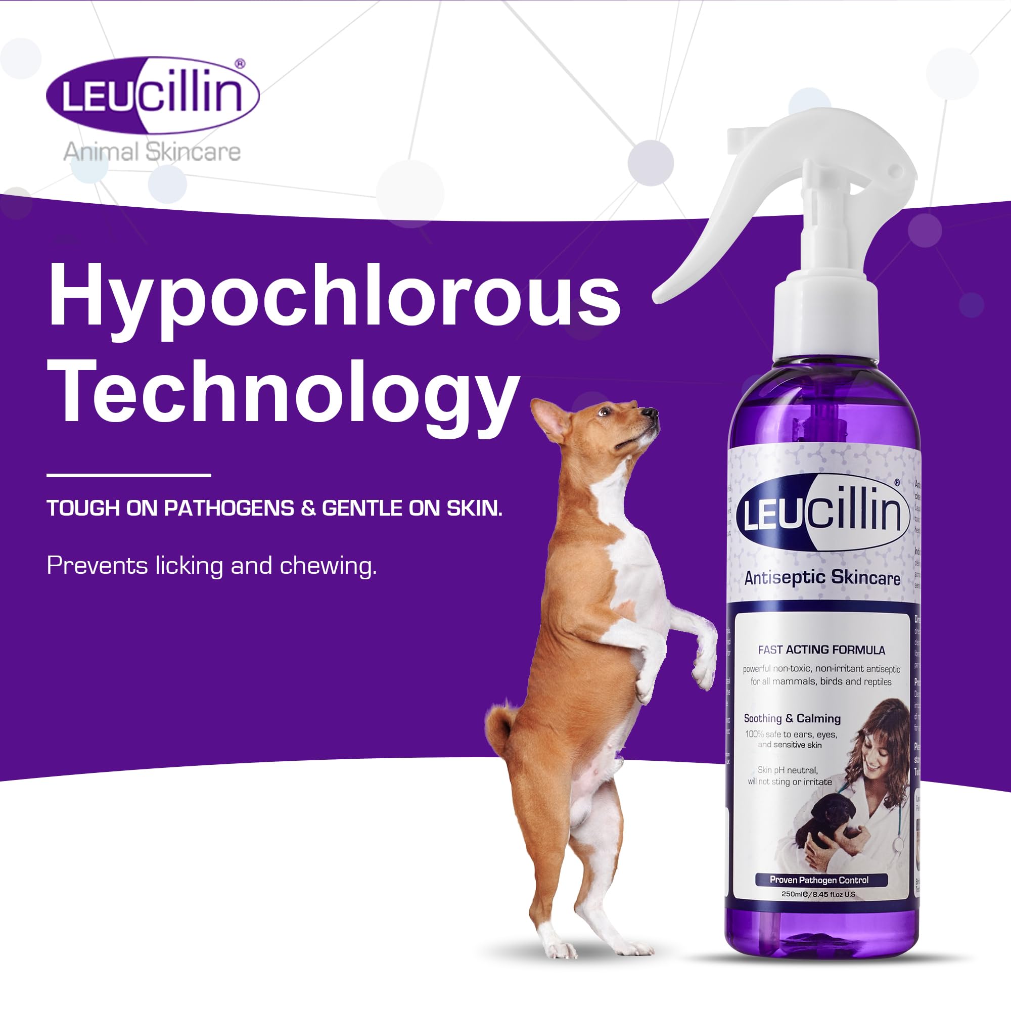Nettoyage de plaie avec Leucillin, douceur et propreté pour chien.