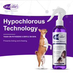 Nettoyage de plaie avec Leucillin, douceur et propreté pour chien.