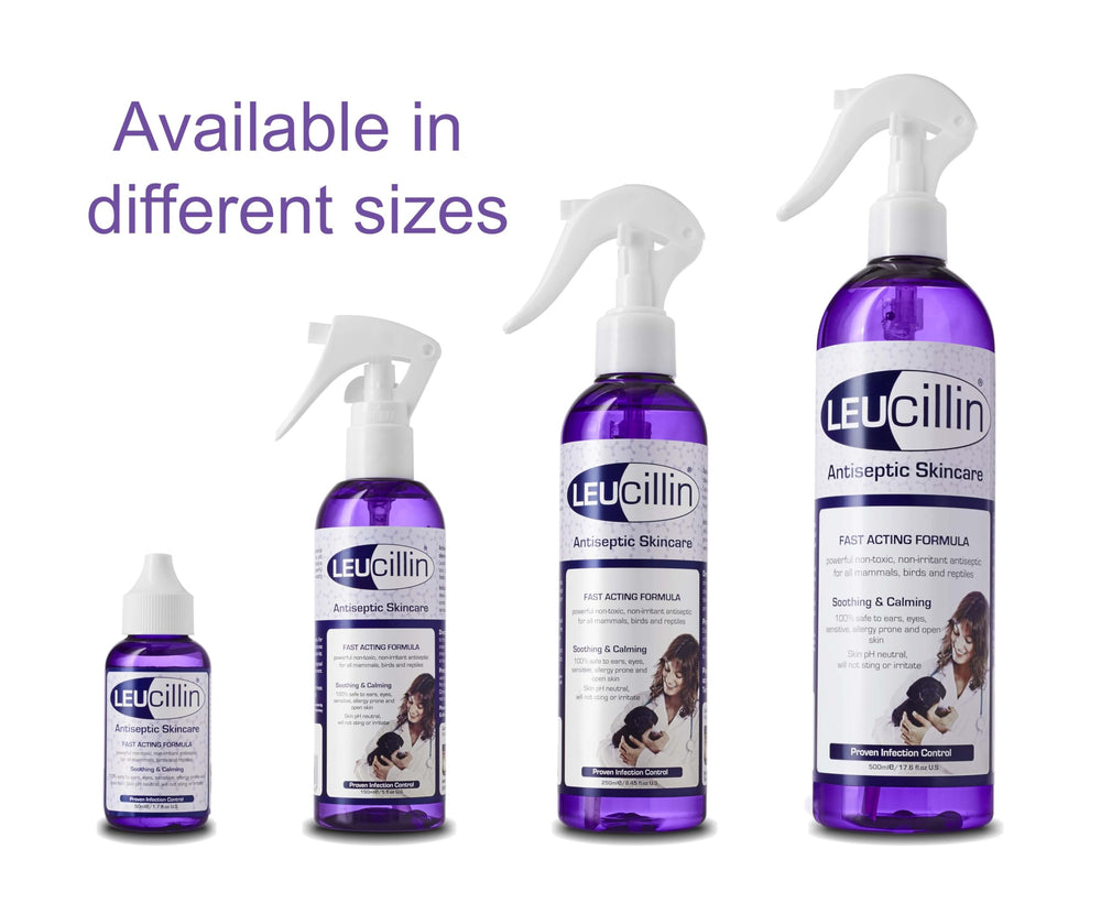 Trousse premiers soins animales avec Leucillin pour soins rapides.