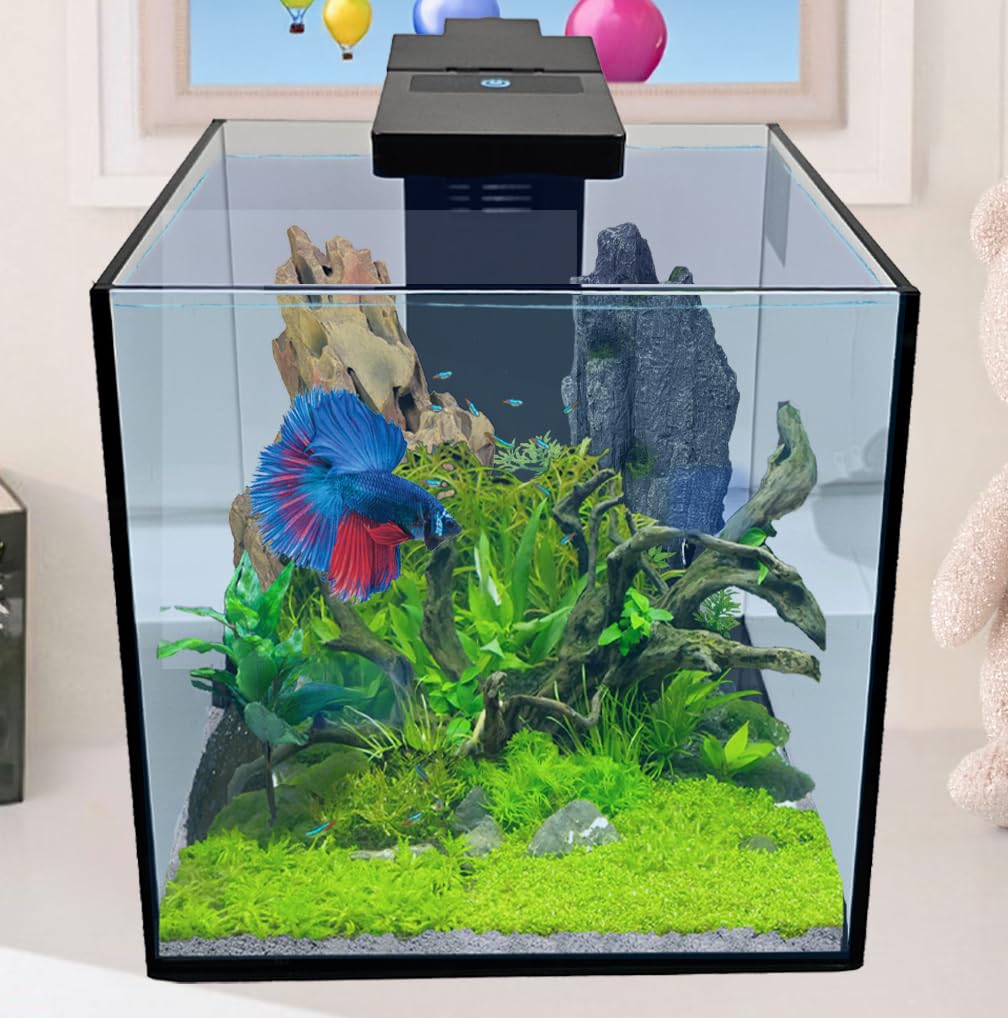 Level One Pets dimensions 9x9x9 pouces adaptées petits espaces