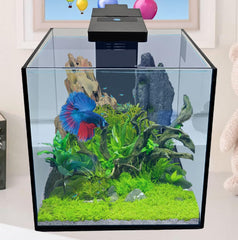 Level One Pets dimensions 9x9x9 pouces adaptées petits espaces