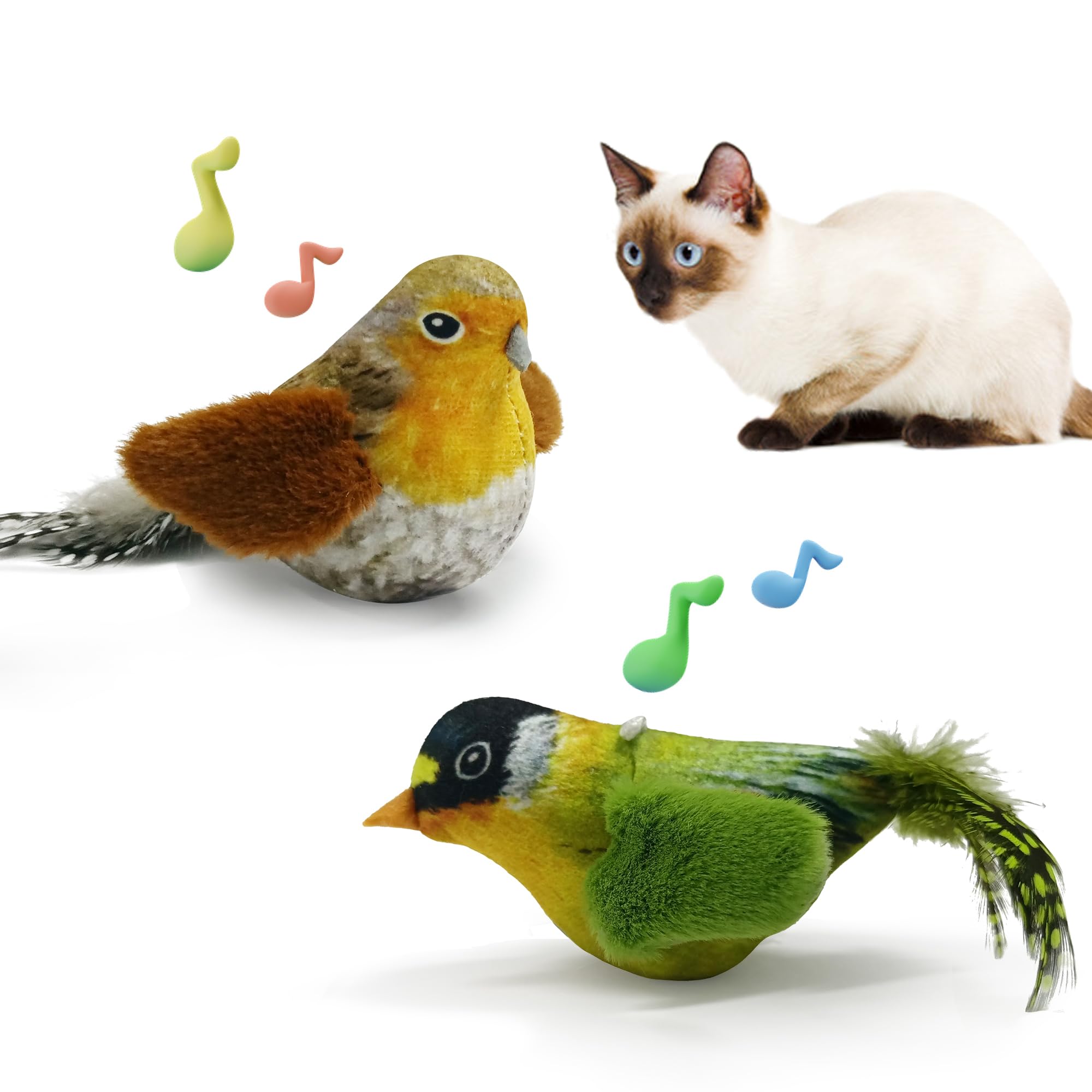 LEWISER: deux oiseaux-jouets chat chantants pour stimulation chasse et jeu.