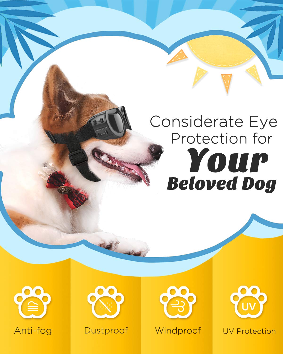 Lewondr lunettes chien petit porté: chien portant les lunettes lors de balades et photos