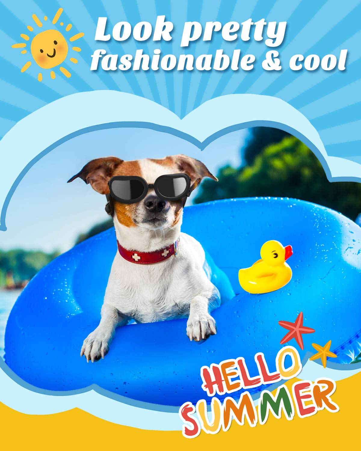 Lewondr lunettes chien: protection UV contre vent et débris lors des sorties