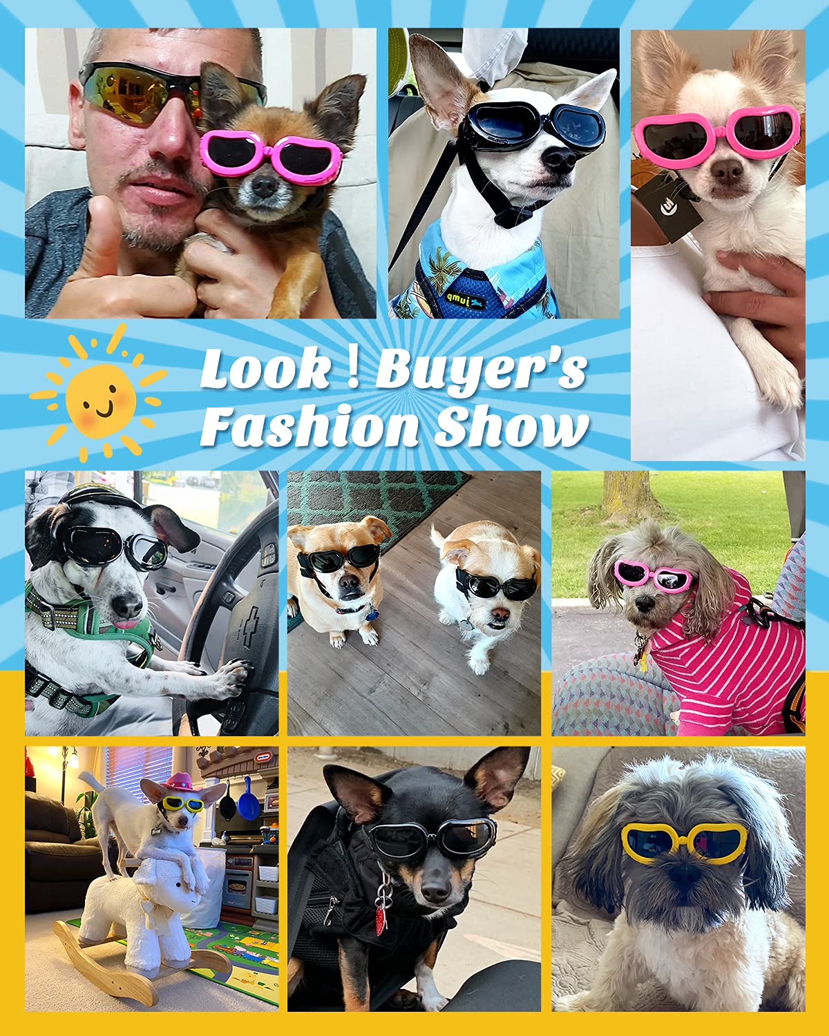 Lewondr lunettes chien petit: bande elastique reglable pour un ajustement sûr