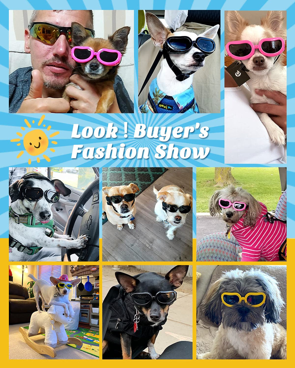 Lewondr lunettes chien petit: bande elastique reglable pour un ajustement sûr