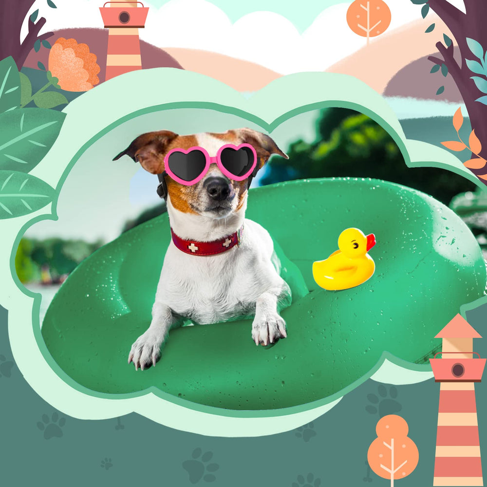 Lewondr lunettes chien port quotidien, idéale en photo et sortie.