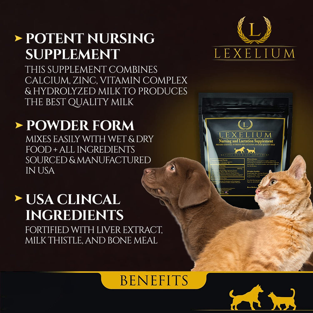 Lexelium lactation nutrition poudre : aide potentielle à la production de lait et à la vitalité.