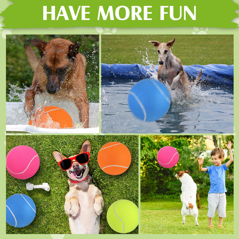 Ensemble Leyndo de balles et accessoires, adapté au multi-chien et à divers exercices.