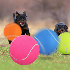 Balle Leyndo géante orange pour chien, visibilité accrue pendant les jeux.