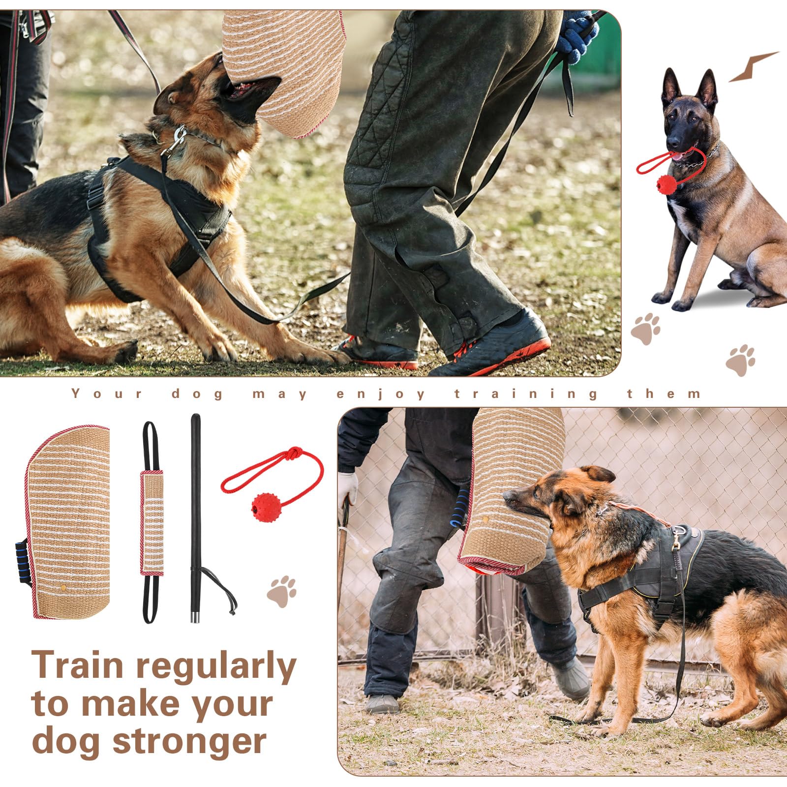 Leyndo ensemble accessoires d'entraînement chien, kit complet pour sessions variées.