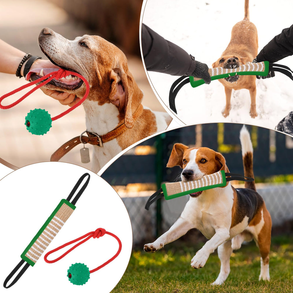 Ensemble d’entraînement Leyndo, couleur verte, adapté à tous les profils de chiens.