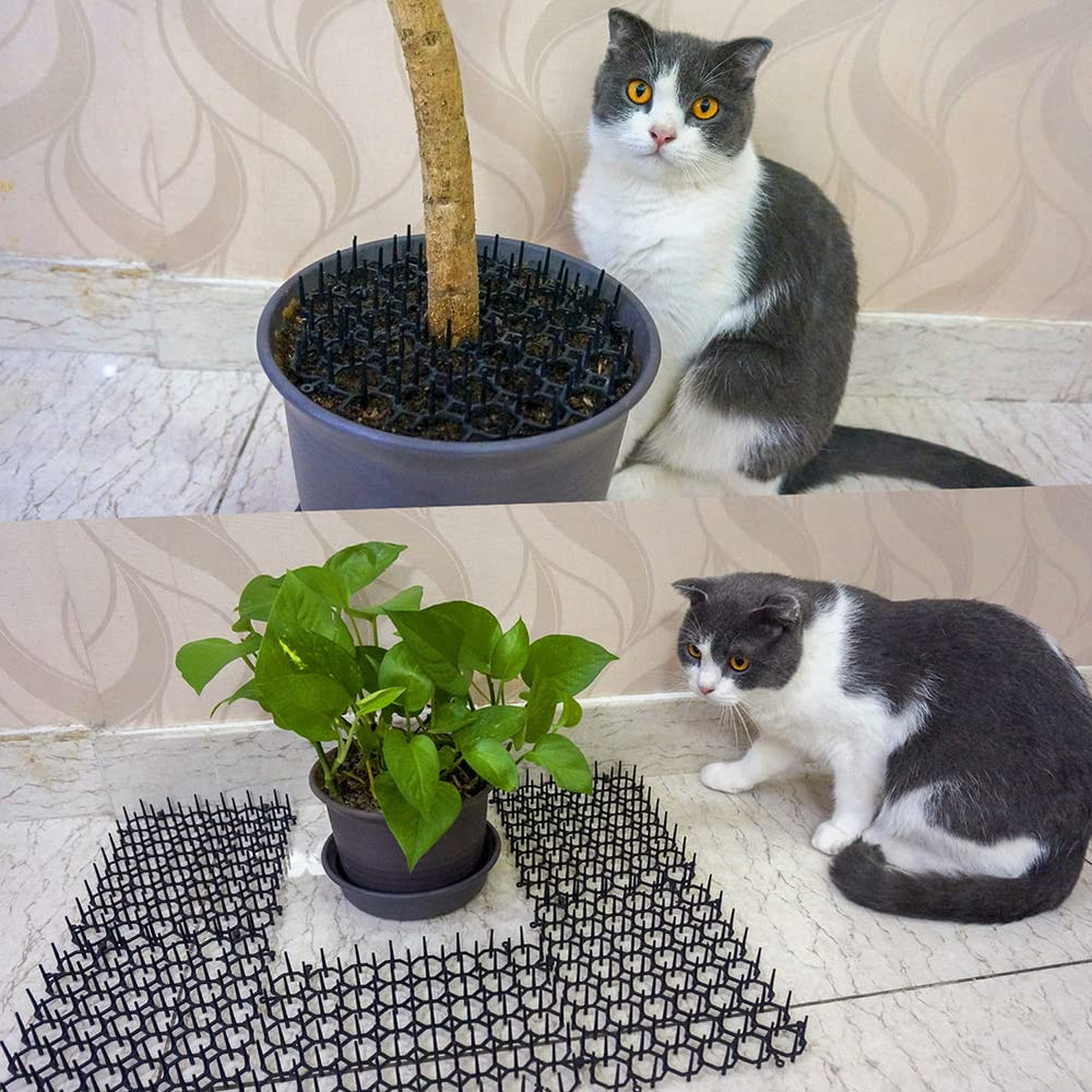 Ley's Mat anti-chat près d'une plante, démontrant efficacité.