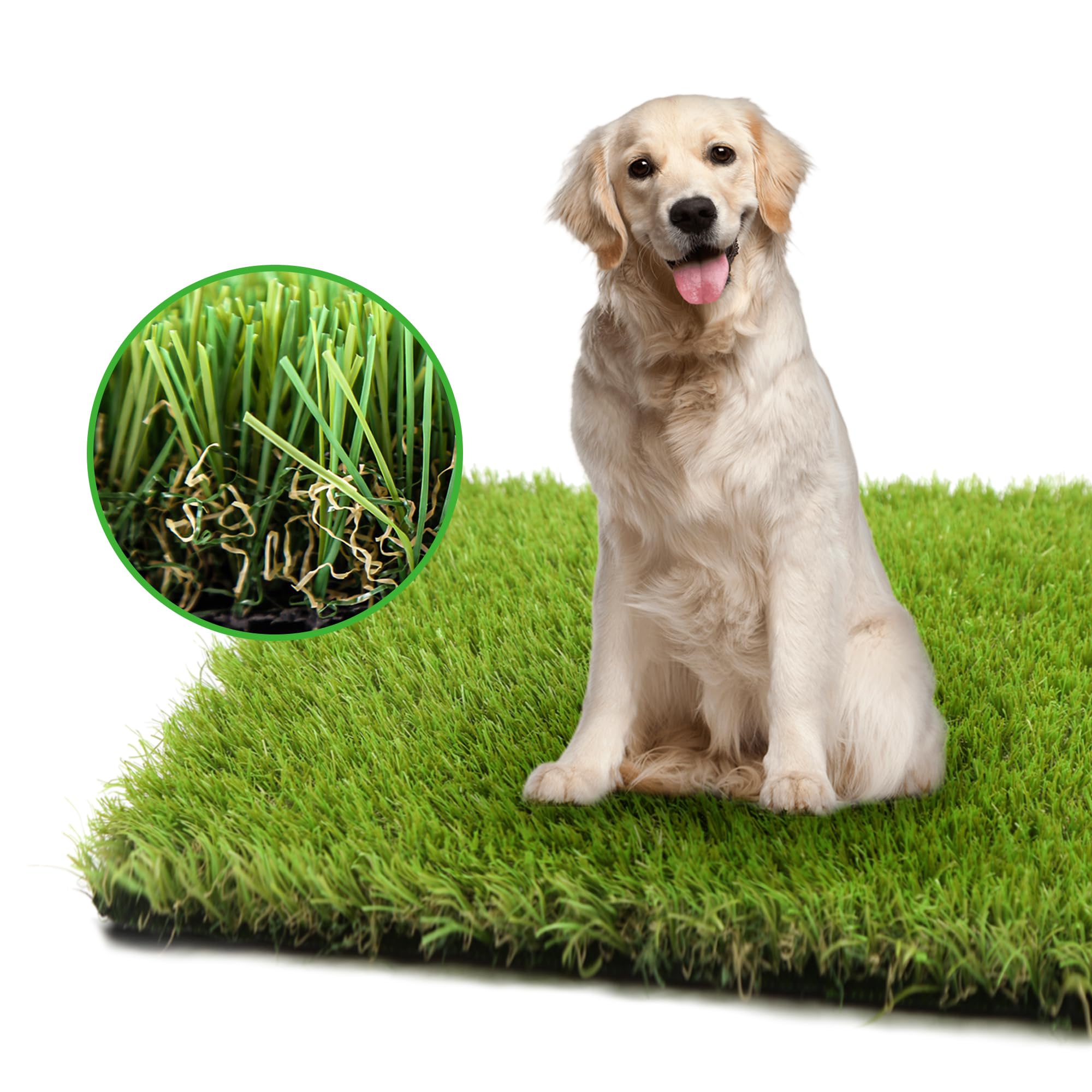 Gazon artificiel LGR SHINE pour chiens sur grande surface, idéal pour jeux et propreté.