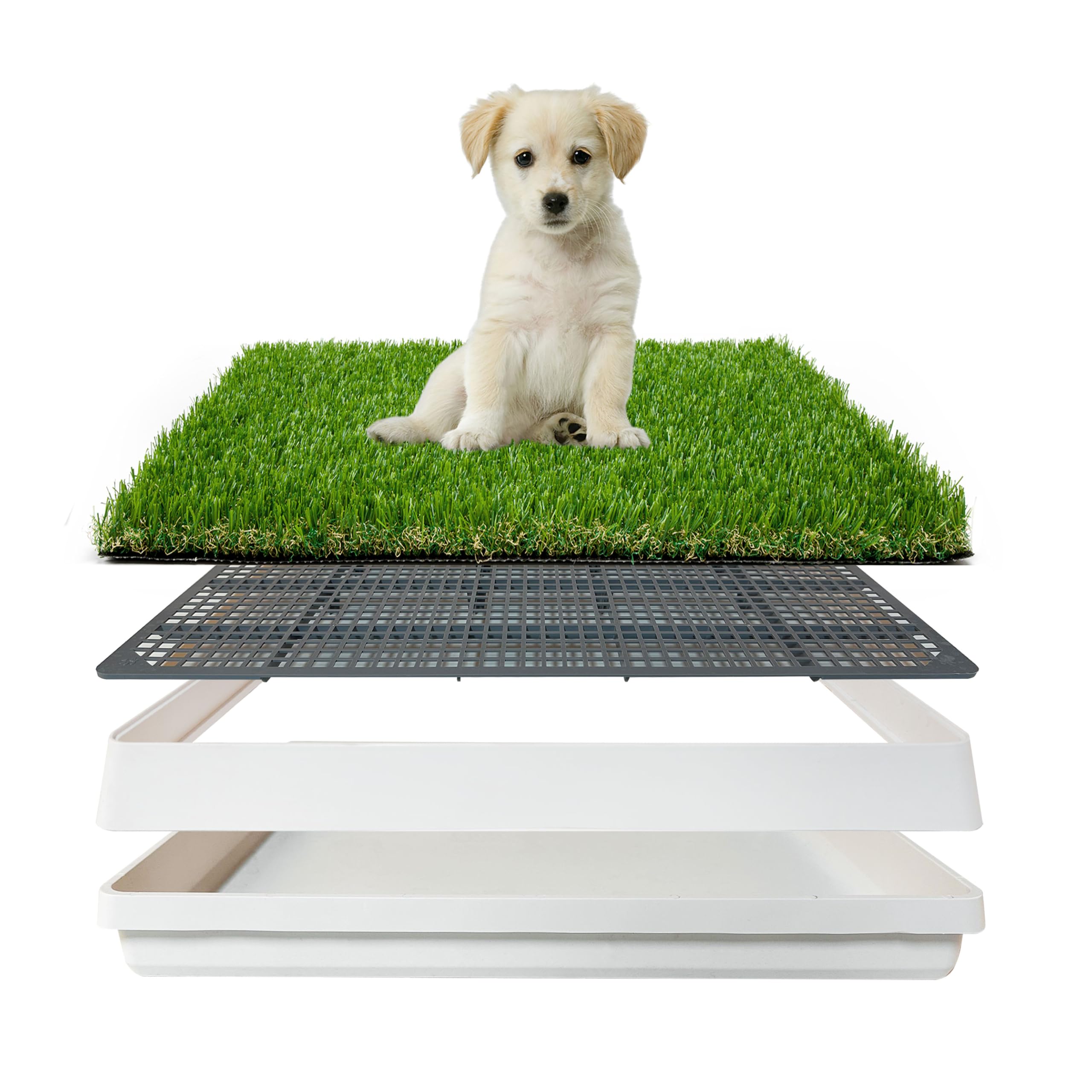 LGR SHINE tapis herbe artificielle avec bac, idéal pour apprentissage des pipis.