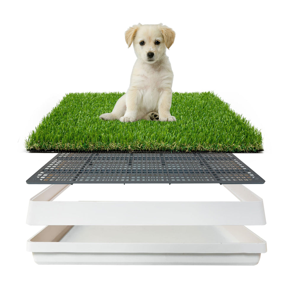 LGR SHINE tapis herbe artificielle avec bac, idéal pour apprentissage des pipis.