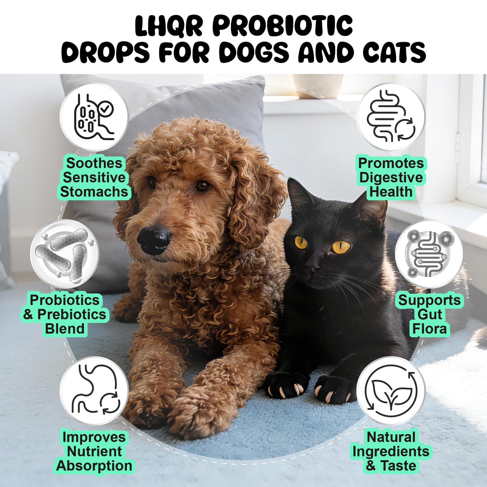 LHQR gouttes probiotiques pour chiens et chats, dose précise pour un confort digestif rapide.