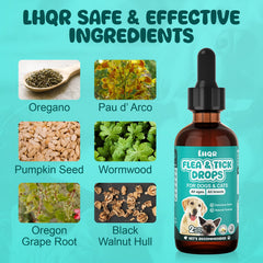 Ingrédients botaniques LHQR pour peau et digestion saines