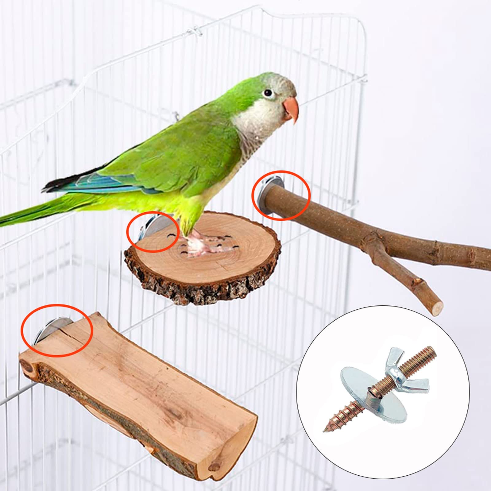 LhyBtm bols alimentation cage: accès pratique à la nourriture et à l'eau