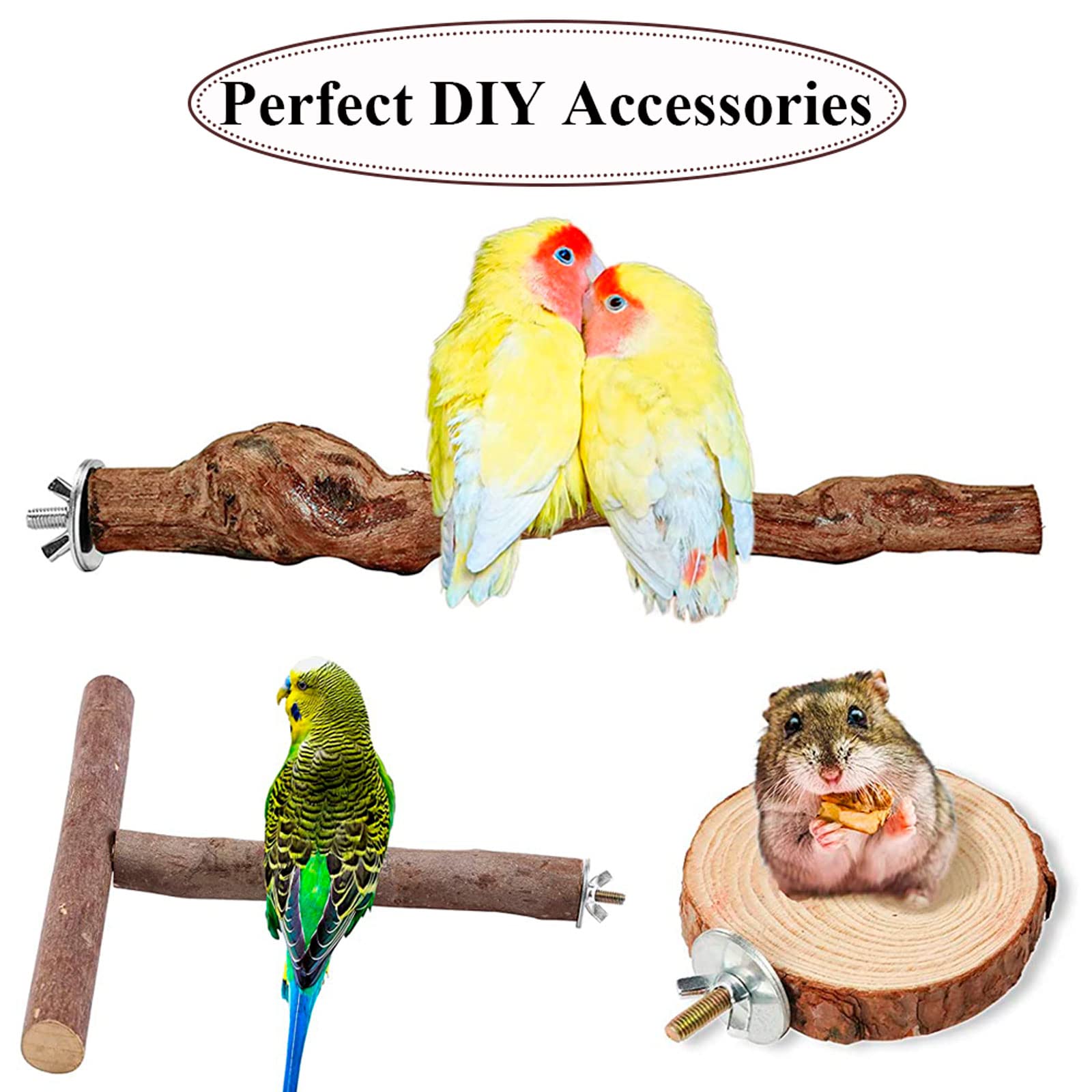 LhyBtm perchoir cage oiseaux: montage polyvalent pour espaces de cage