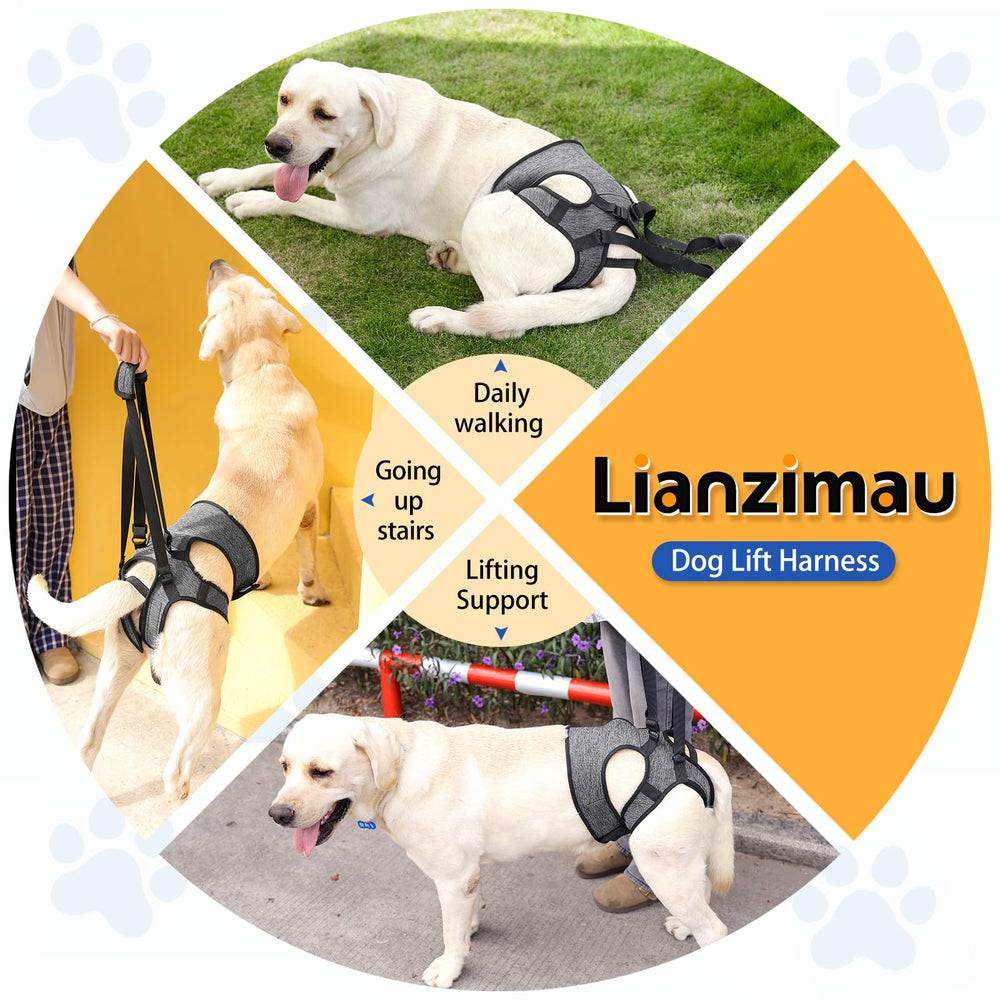 LIANZIMAU boucles velcro ajustables harnais chien ajustement sûr