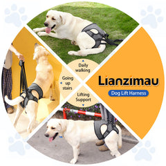 LIANZIMAU boucles velcro ajustables harnais chien ajustement sûr
