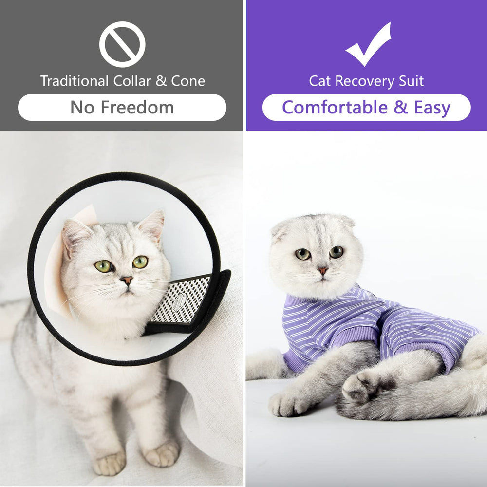 LIANZIMAU chat guide des tailles pour ajustement sûr.
