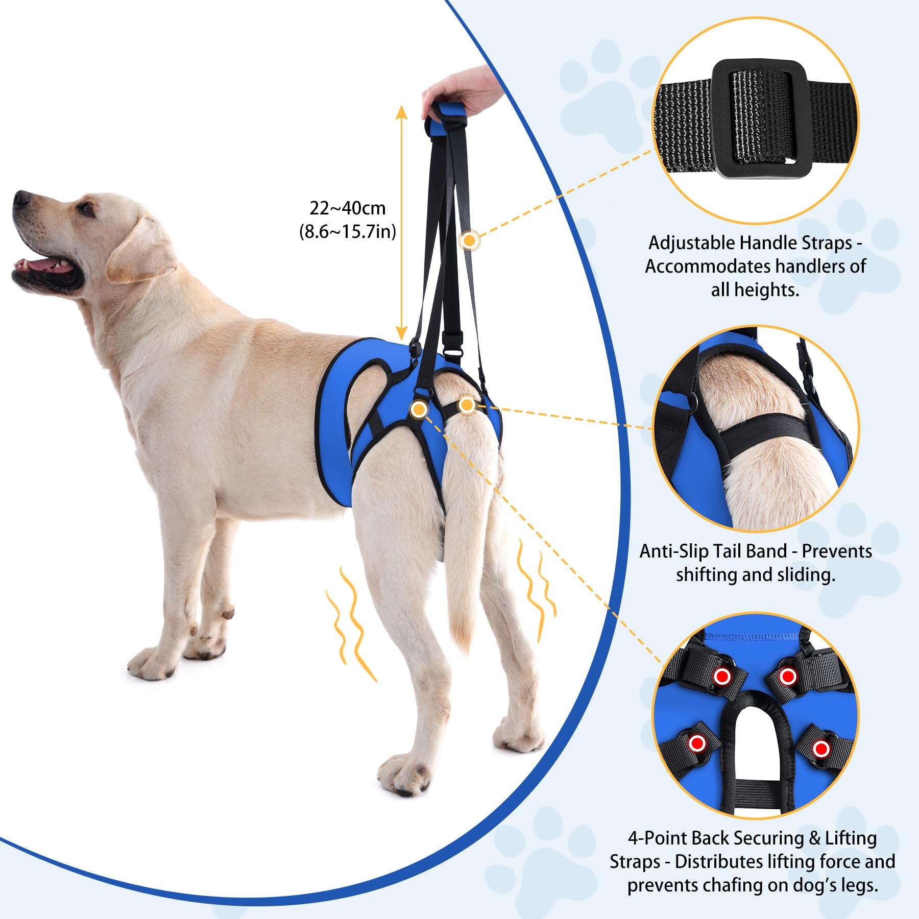 LIANZIMAU harnais ajustable, fermetures à velcro et sangles assurant un ajustement stable des pattes.