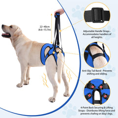 LIANZIMAU harnais ajustable, fermetures à velcro et sangles assurant un ajustement stable des pattes.