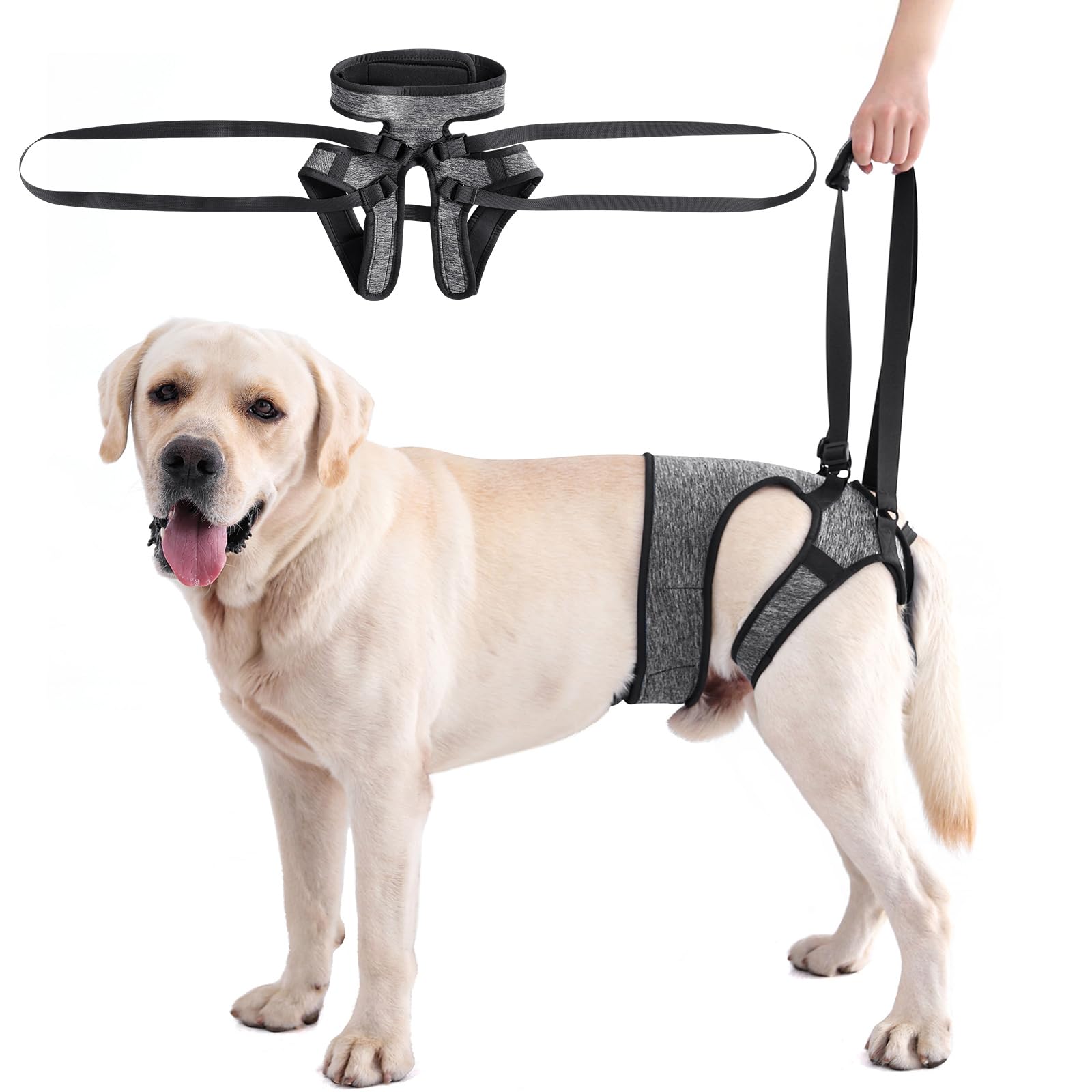 LIANZIMAU harnais aide-mobilité chien patte-arriere ajustable pour stabilité