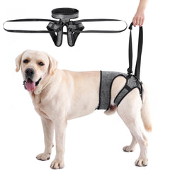LIANZIMAU harnais aide-mobilité chien patte-arriere ajustable pour stabilité