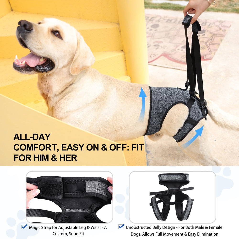 LIANZIMAU matière soie-lait harnais chien durable pour usage quotidien