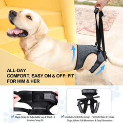 LIANZIMAU matière soie-lait harnais chien durable pour usage quotidien