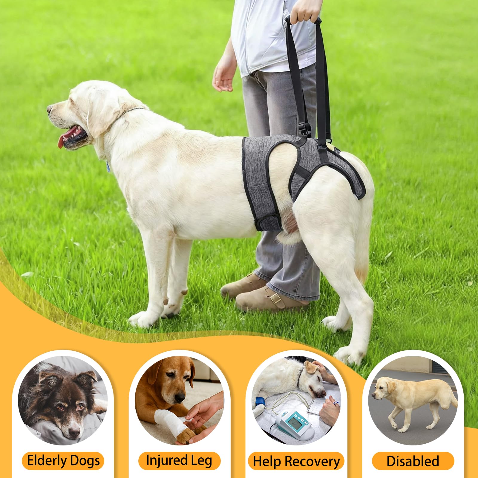 LIANZIMAU poignée mobilité harnais chien facilitant les transferts