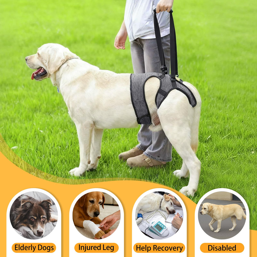 LIANZIMAU poignée mobilité harnais chien facilitant les transferts