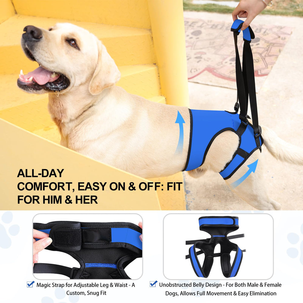 LIANZIMAU poignée réglable, aide pratique pour porter le chien en déplacement.