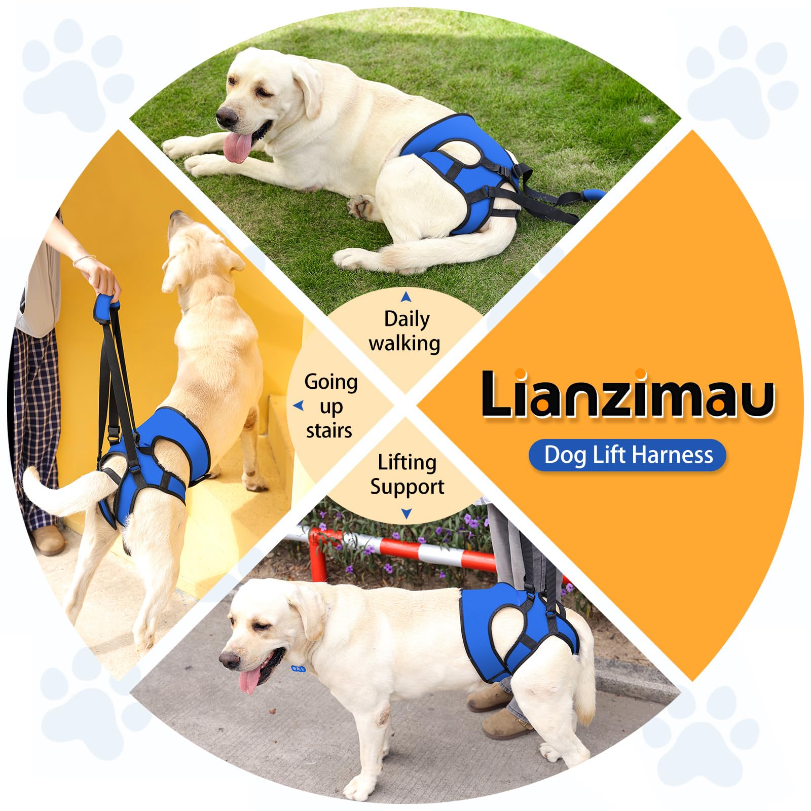 LIANZIMAU tissu durable et doux, conçu pour un usage quotidien sur chiens.