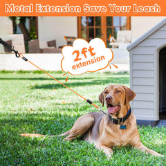 Libbipaw extendeur-laisse-double-usage-24pouces, pratique pour deux chiens.