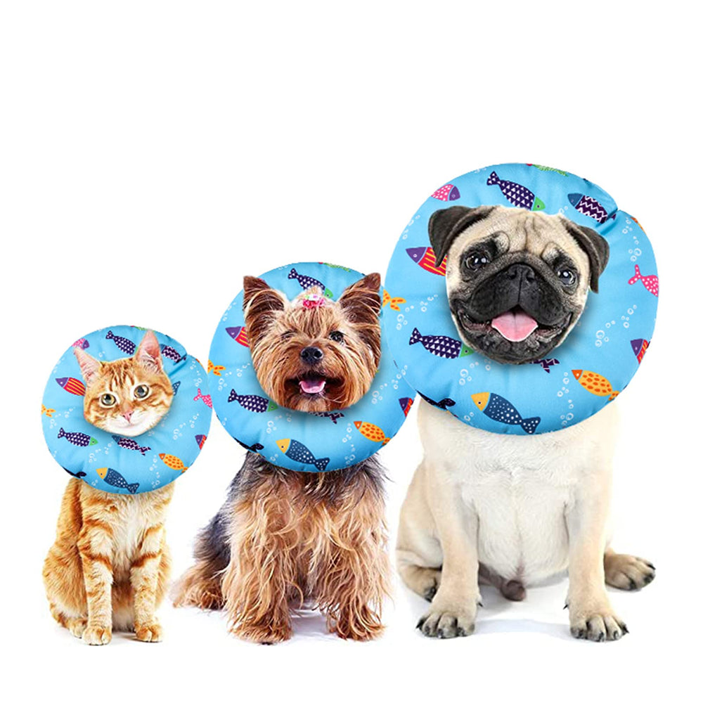 Libfrnt collier-cone chat pour petits animaux, usage post-opératoire pratique.