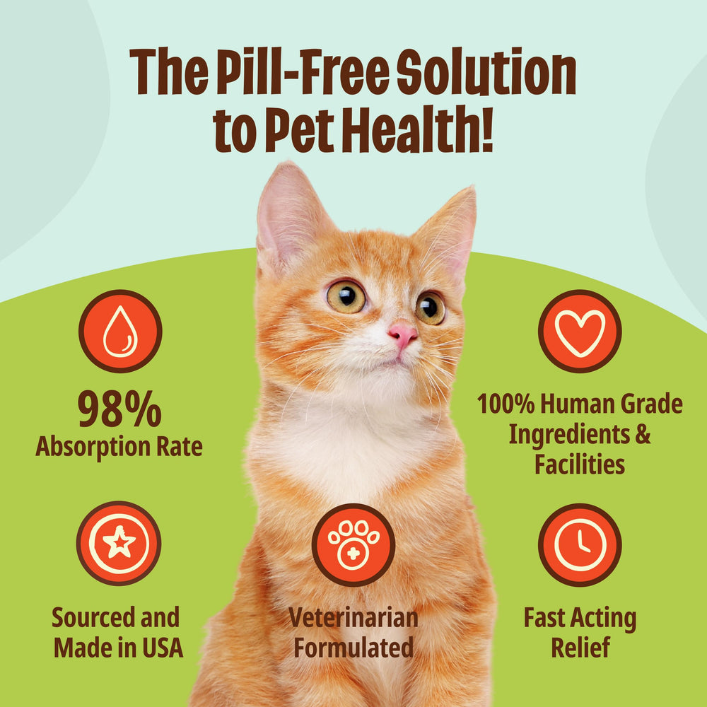 Licks Pill Free Zen Chat: conserve au réfrigérateur pour épaissir le gel.
