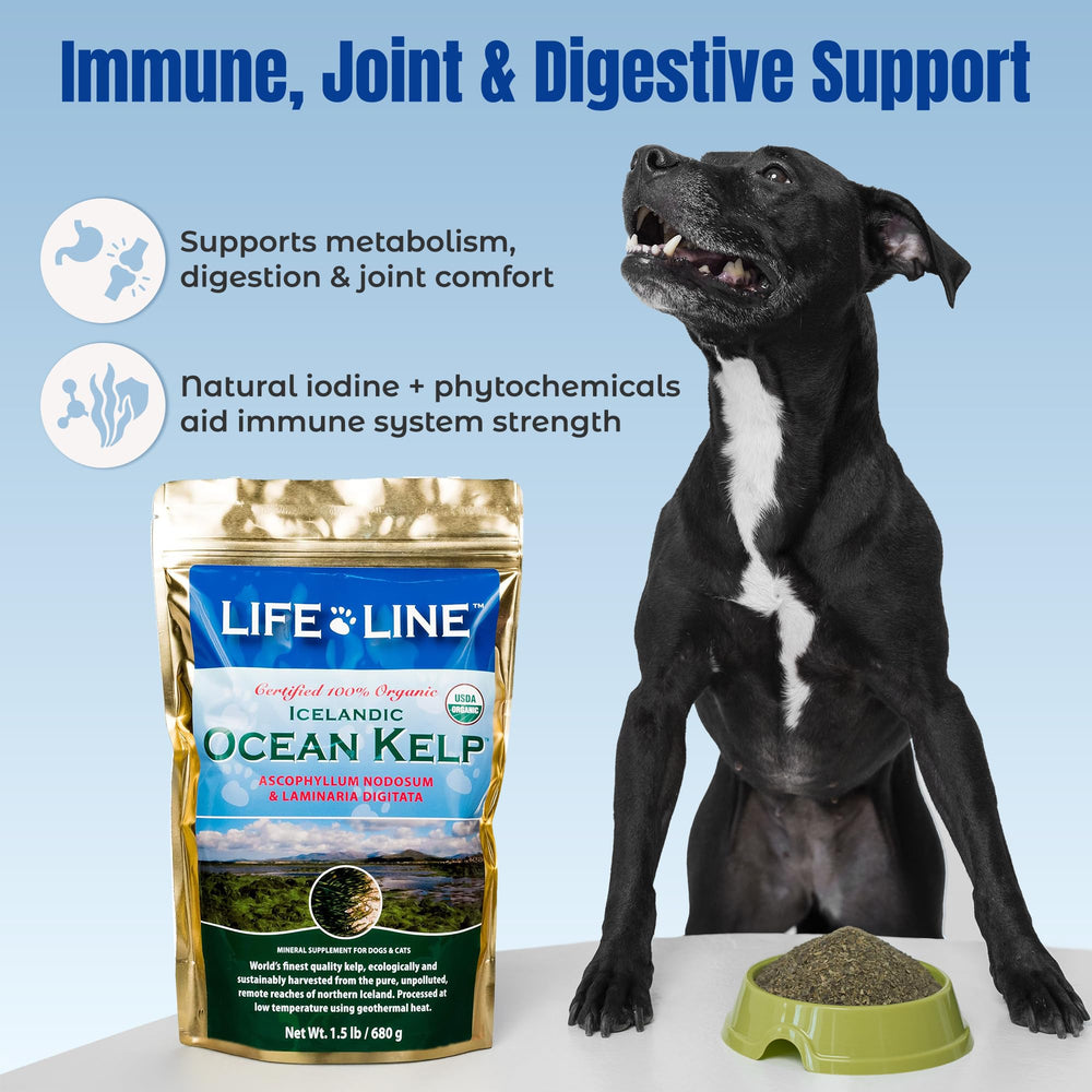 Life Line Organic Ocean Kelp pelage brillant, soin peau et pelage sain