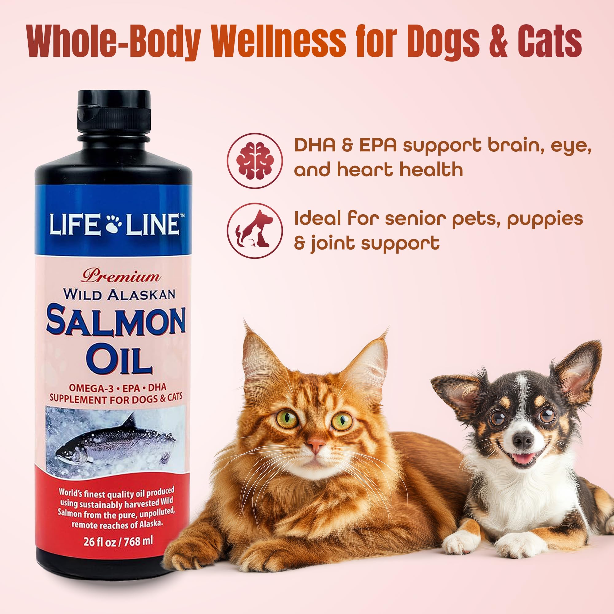 Life Line huile saumon Alaska, soutien potentiel peau et pelage chez chiens et chats.